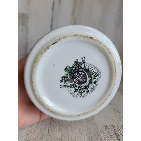 Botanic garden Amaryllis Reginae Mexican Lily large jar - Picture 12 of 12